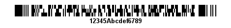 (pdf417_ex6.php)